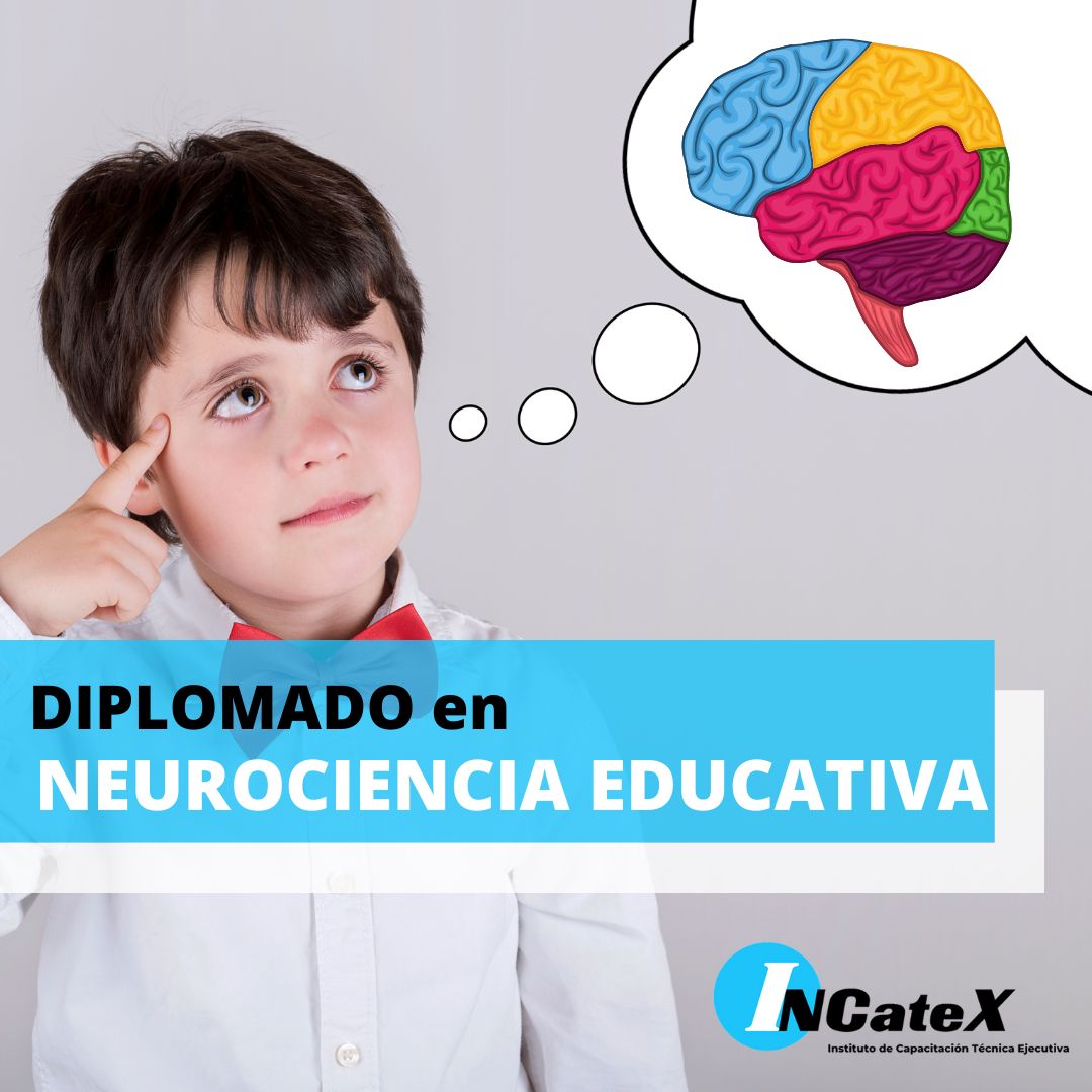 Diplomado en Neurociencias Aplicado al Ámbito Educativo